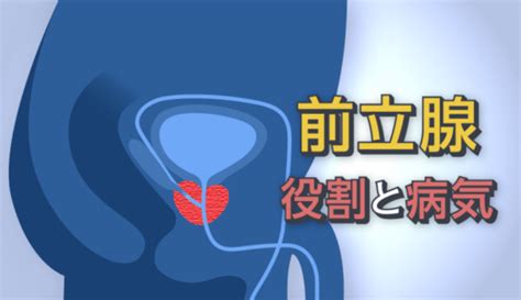 男寸止め|射精の我慢は前立腺炎の原因になるか。考えられる可。